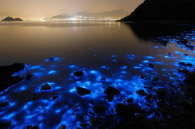 Luminous Lagoon Small Group Tour from Ocho Rios - Key points at a glance