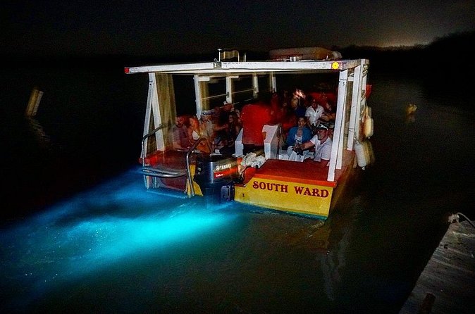 Luminous Lagoon Small Group Tour from Ocho Rios - Boarding the boat at Luminous Lagoon