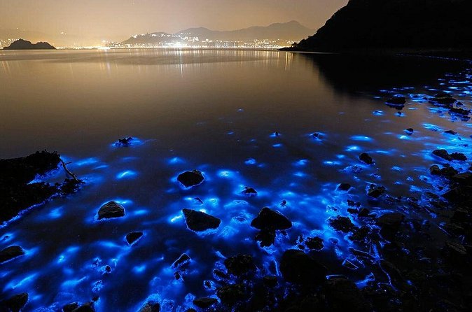 Luminous Lagoon Small Group Tour from Ocho Rios - What $140 per person really covers