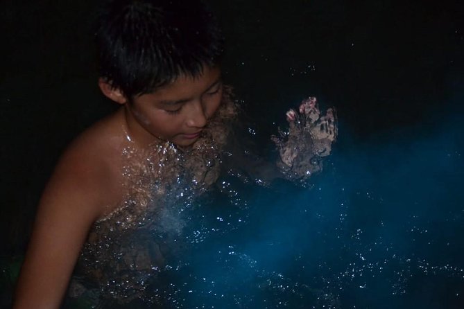 Luminous Lagoon Tour from Montego Bay & Rosehall Hotels - Why the Luminous Lagoon glows after dark