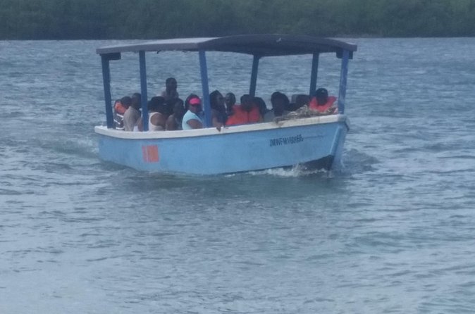 Luminous Lagoon Tour from Montego Bay & Rosehall Hotels - What the $74.67 price includes
