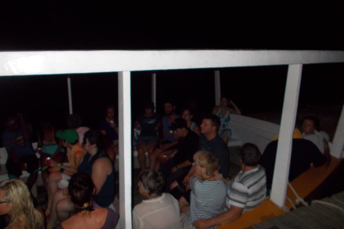 Luminous Lagoon Tour from Montego Bay & Rosehall Hotels - From Montego Bay or Rose Hall to Falmouth