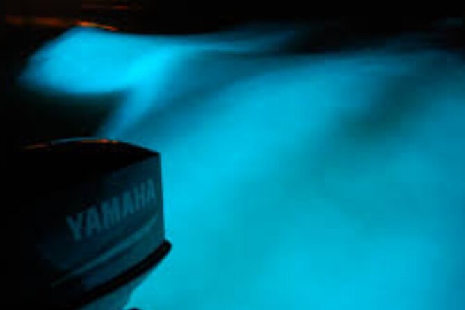 Magical Luminous Lagoon Private Tour - What is included in the $87 price
