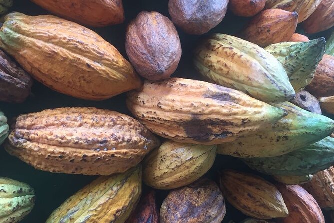 Make your own Bean to Bar Chocolate Factory Tour - Learning the hair-dryer tempering trick