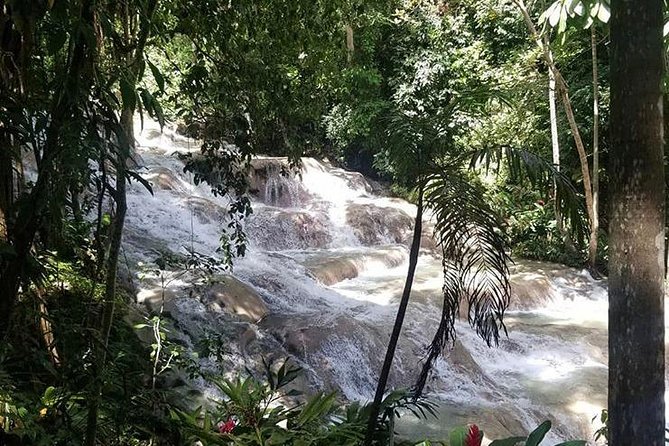 Martha Brae and Dunn’s River Falls Day Tour - What $245 per person really buys