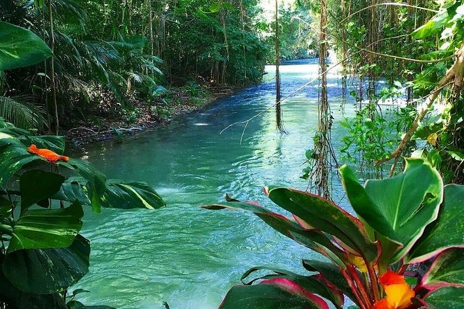 Martha Brae Rafting Adventure - Is $160 Per Person a Fair Price?
