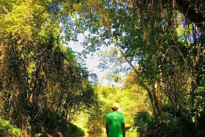 Martha Brae River Rafting Private Tour - The 90-minute bamboo raft ride