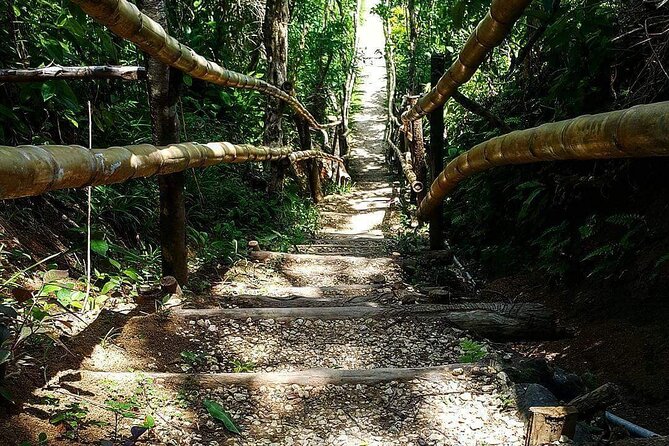 Mayfield Falls, Blue Hole & Rick's Café Tours/Weed Farm option - Blue Hole Mineral Spring and the 22-foot choice