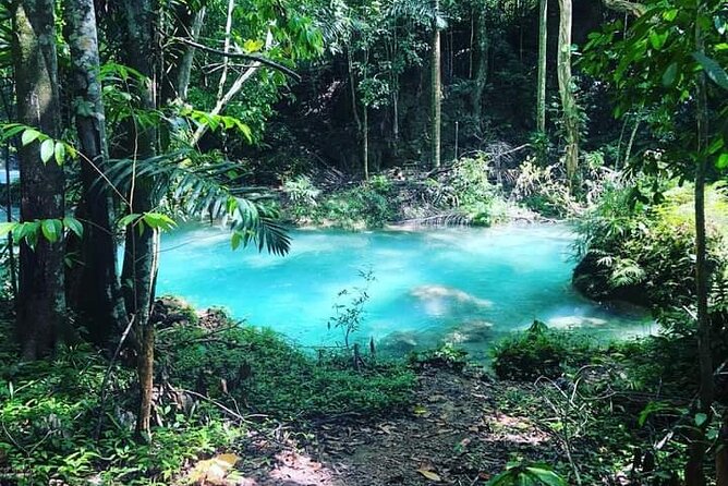 Mayfield Falls, Blue Hole & Rick's Café Tours/Weed Farm option - What to pack for a day built around water