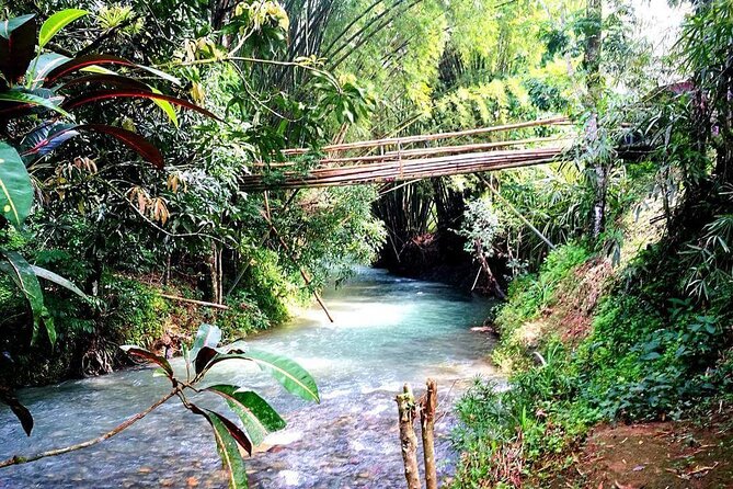 Mayfield Falls, Blue Hole & Rick's Café Tours/Weed Farm option - Rick’s Café in Negril: views, drinks, and cliff jumps