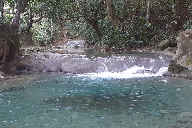 Mayfield Falls nature walk - Walking and swimming through the cascades
