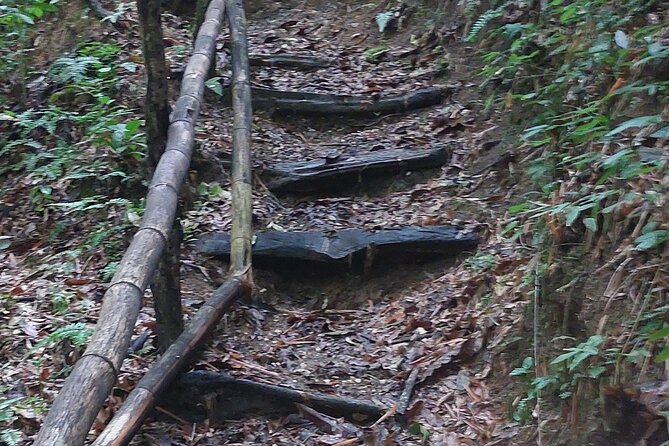 Mayfield Falls nature walk - The food and roadside stops