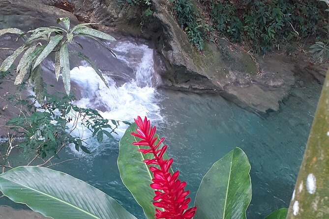 Mayfield Falls nature walk - Timing, pickup, and the real length of the day