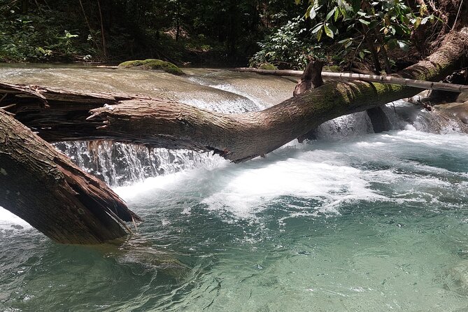 Mayfield Falls nature walk - Who will enjoy Mayfield Falls most