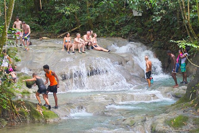 Mayfield Falls Tour with Lunch, drink, Entry & Transp(Original) - Key points before you book