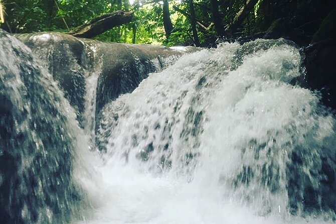 Mayfield Falls Tour with Lunch, drink, Entry & Transp(Original) - Transport from Montego Bay or Negril