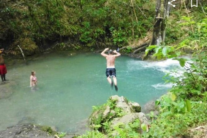 Mayfield Falls Tour with Lunch, drink, Entry & Transp(Original) - What the two-hour falls visit is like