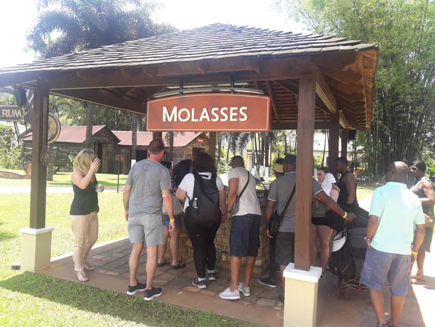 Montego Bay: 8-Hour Appleton & Pelican Bar Return Transfer - The day begins with Jamaica’s long south-coast road