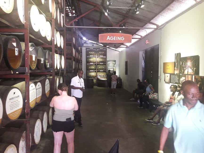 Montego Bay: 8-Hour Appleton & Pelican Bar Return Transfer - Appleton Estate turns sugar cane into a story