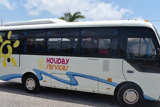 Montego Bay Airport (MBJ) Transfer One-Way or Round-Trip to Hotel - What the Montego Bay airport arrival is really like
