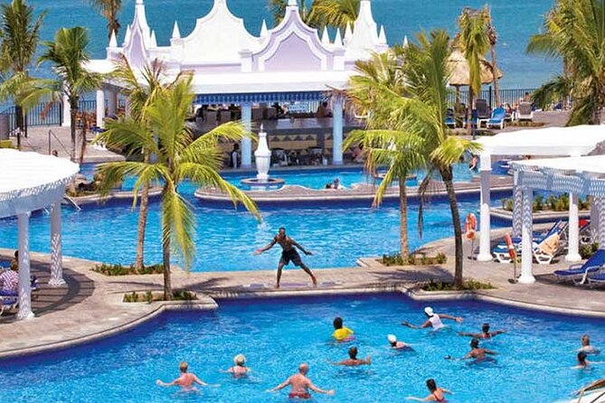 Montego Bay Airport Transfer to Hotels in Montego Bay or Falmouth - What the strongest service looks like