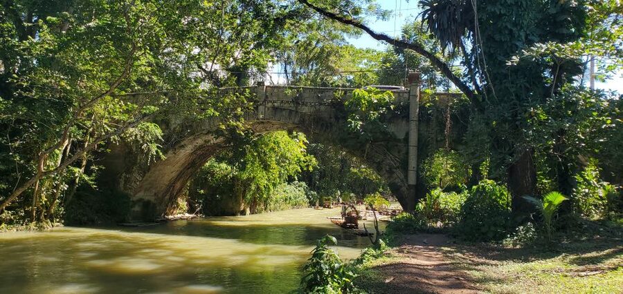 Montego Bay: Bamboo Raft Cruise on the Great River - Is $135 a fair price?