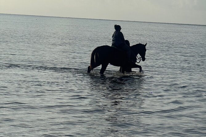 Montego Bay Beach Horseback Riding Tour - What the two-hour duration really means