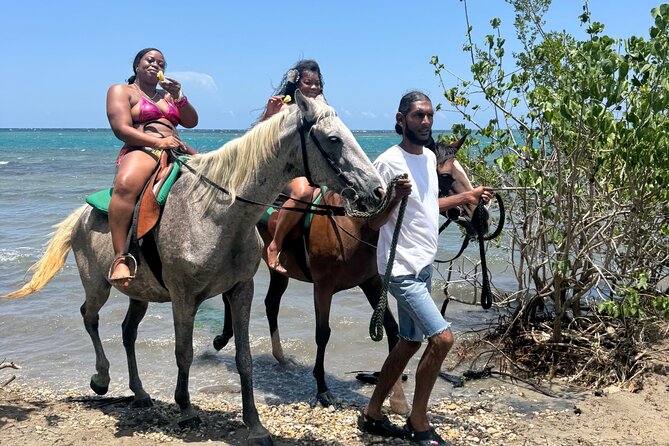 Montego Bay Beach Horseback Riding Tour - Practical details that can save you trouble