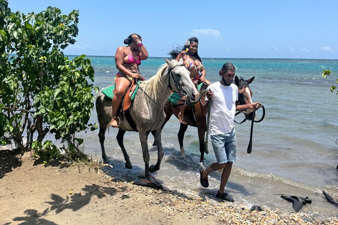 Montego Bay Beach Horseback Riding Tour - The orientation matters more than it may seem