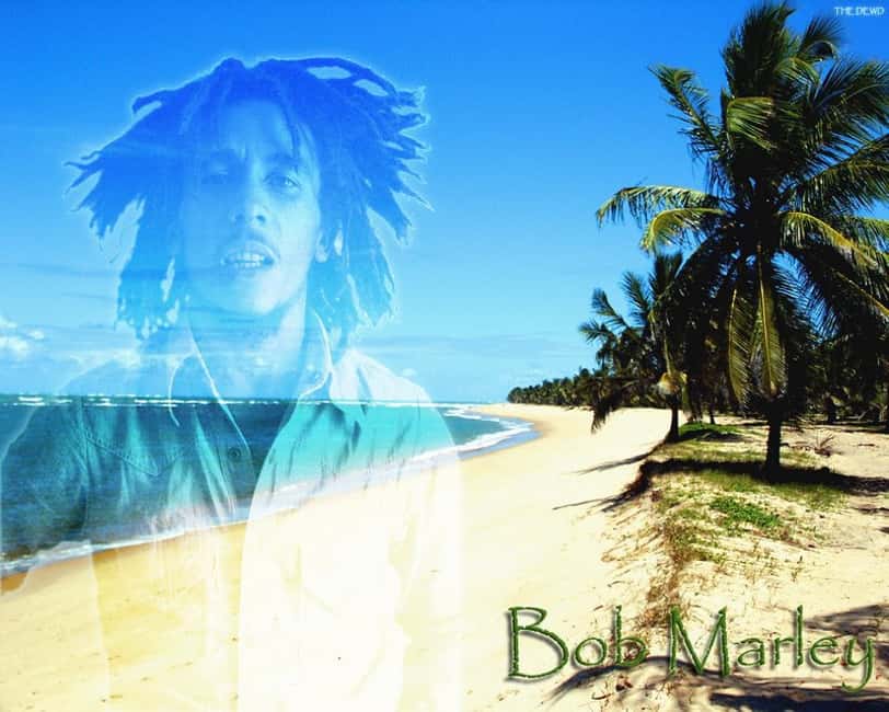 Montego Bay: Bob Marley Tour to 9 Mile, St. Ann - Leaving Montego Bay by private vehicle