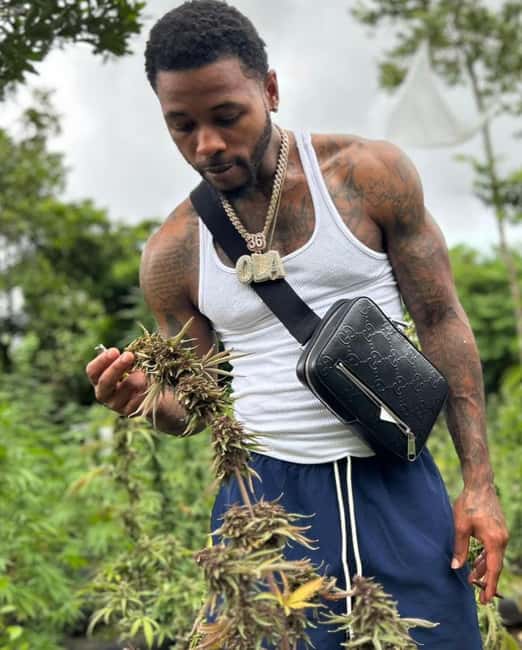 Montego Bay: Cannabis Farm, Bamboo Rafting, & Foot Massage - A three-stop introduction to Jamaica near Montego Bay