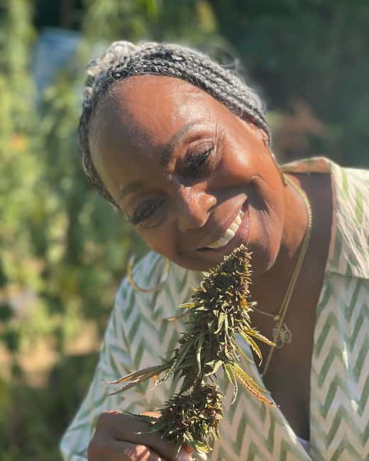 Montego Bay: Cannabis Farm, Bamboo Rafting, & Foot Massage - Tips for making the short schedule work