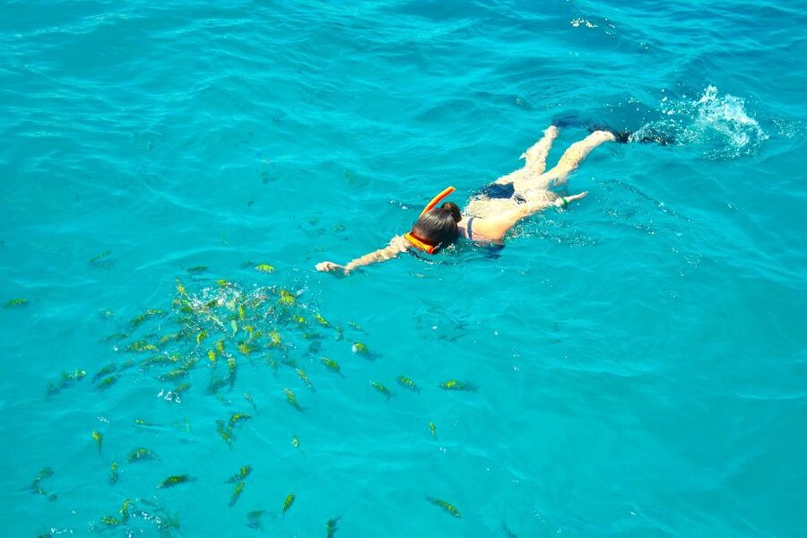 Montego Bay Catamaran Cruise and Snorkeling Tour - Snorkeling from the catamaran’s front steps