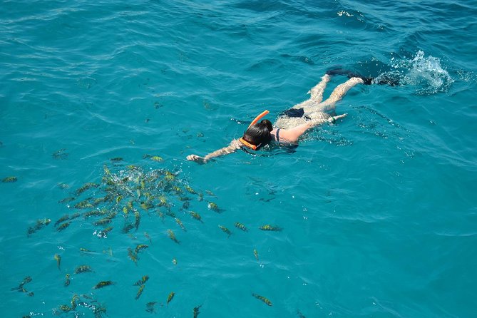 Montego Bay Catamaran Cruise and Snorkeling Tour from Falmouth - Margaritaville and the water-slide stop
