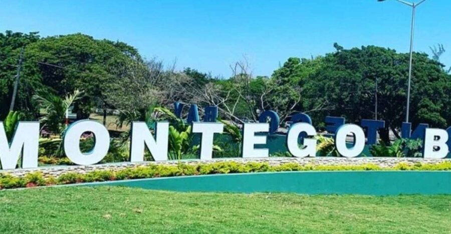 Montego Bay: City Highlights and Souvenir Shopping Tour - Shopping for handicrafts without losing the whole afternoon