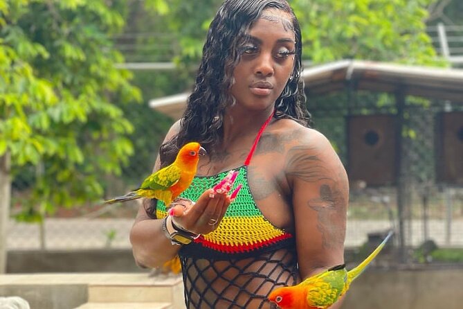 Montego Bay Exotic Herbs, Birds and Animals Interaction Tour - Meeting Jamaica’s birds in Ironshore