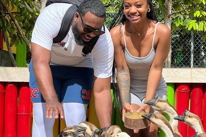 Montego Bay Exotic Herbs, Birds and Animals Interaction Tour - Rain is the one real variable