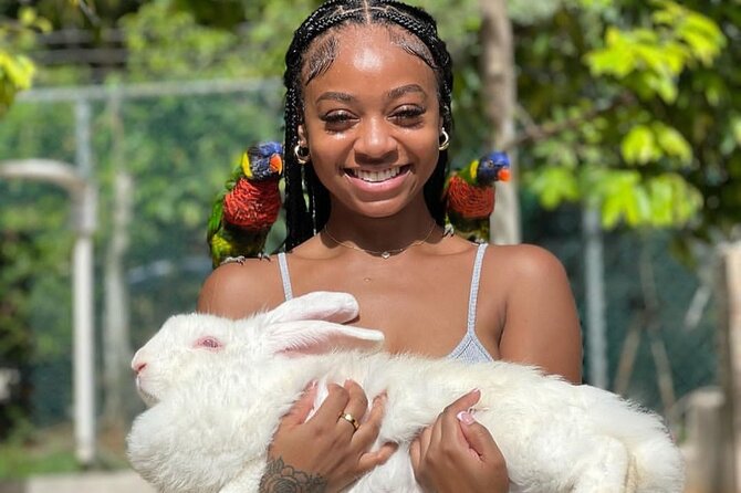 Montego Bay Exotic Herbs, Birds and Animals Interaction Tour - Animals, photos, and responsible expectations