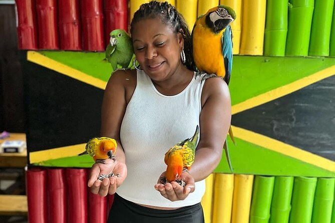 Montego Bay Exotic Herbs, Birds and Animals Interaction Tour - Who will enjoy this Ironshore outing?