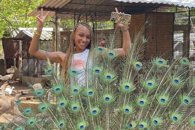 Montego Bay Exotic Herbs, Birds and Animals Interaction Tour - Why the guides matter