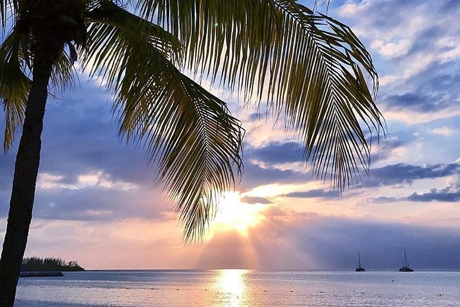 Montego Bay Highlights Tour from Montego Bay - Is $96.42 per person a fair price?