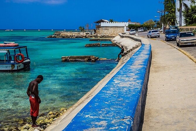Montego Bay Local Experience & Beach from Cruise Ships - Highlight Cafe and the coastline from above