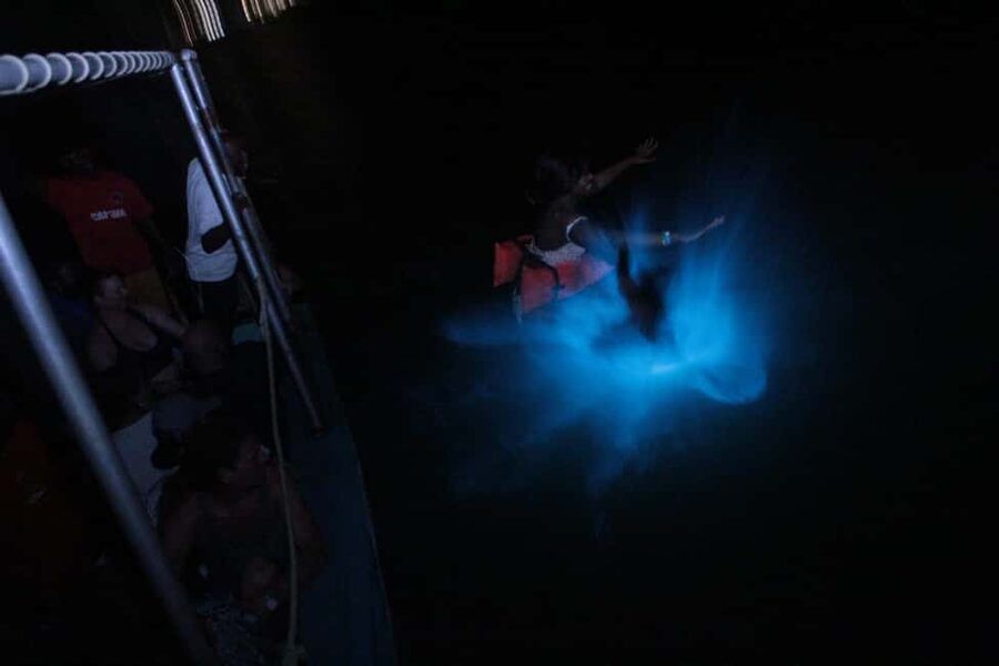 Montego Bay: Luminous Lagoon Evening Boat Tour - Why Luminous Lagoon Glows After Dark
