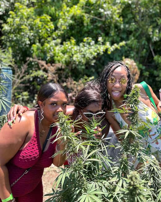 Montego Bay: Marijuana Farm and Bird Sanctuary Tour - Key points to know before booking