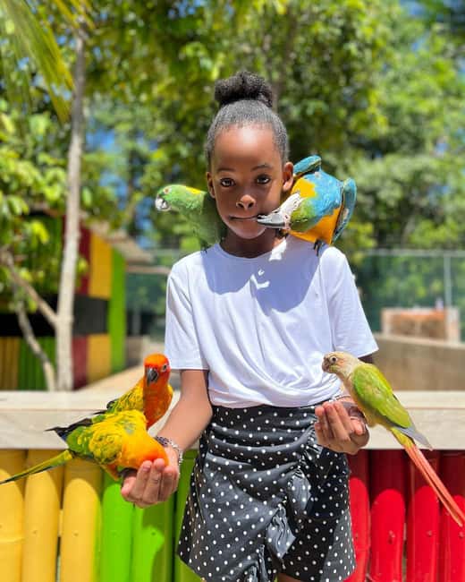Montego Bay: Marijuana Farm and Bird Sanctuary Tour - Should you book it?