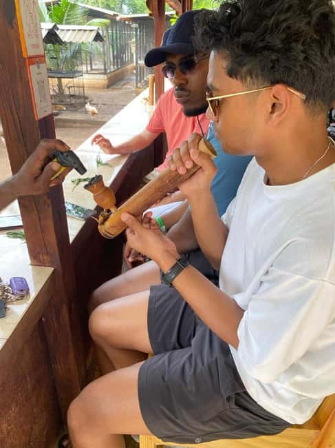 Montego Bay: Marijuana Farm and Bird Sanctuary Tour - What you actually see at the marijuana nursery