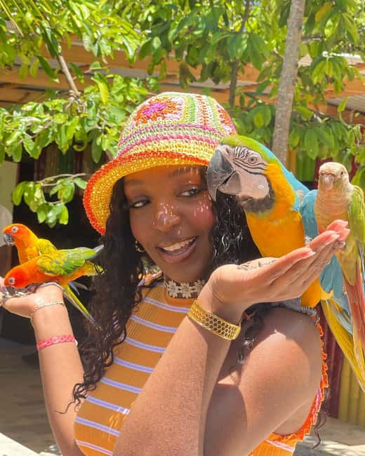 Montego Bay: Marijuana Farm and Bird Sanctuary Tour - The bird sanctuary, petting, and animal-care concerns