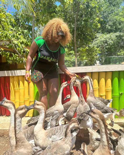 Montego Bay: Marijuana Farm and Bird Sanctuary Tour - Who will enjoy this Montego Bay tour