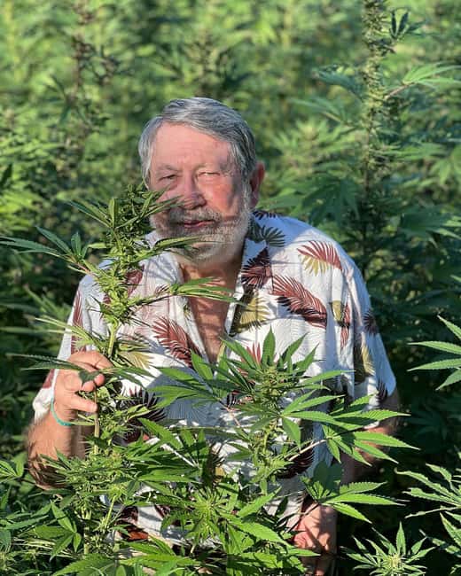 Montego Bay: Marijuana Farm Private Tour with Transportation - Why this farm visit feels different from a resort cannabis stop