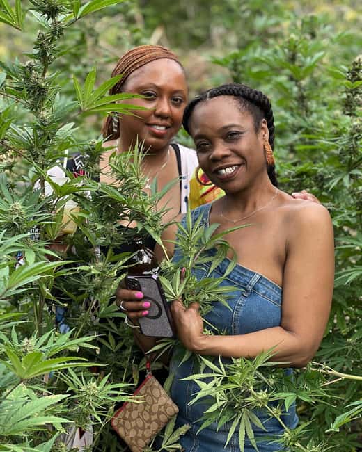 Montego Bay: Marijuana Farm Private Tour with Transportation - The Jamaican cultural side needs your questions